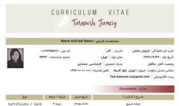 اکسل ؛ طراحی رزومه کاری و کلیه امور اجرائی در اکسل