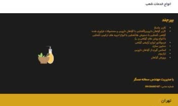 طراحی سایت اختصاصی برای آکادمی ماساژ