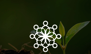 طراحی لوگوی (NGO) Non-governmental organization