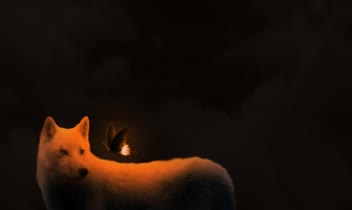 فوتو مونتاژ Photo Manipulation