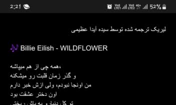 نمونه ترجمه لیریک WILDFLOWER از بیلی آیلیش