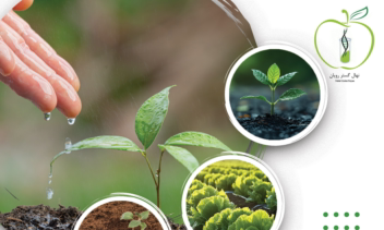 طراحی تراکت نمایشگاهی برای شرکت دانش بنیان نهال گستر رویان