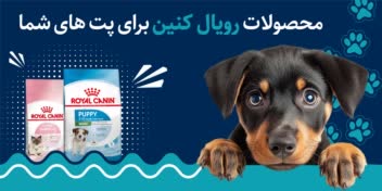 طراحی بنر معرفی محصولات رویال کنین