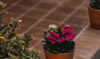 عکاسی‌ از کافه(عکاسی تبلیغاتی)