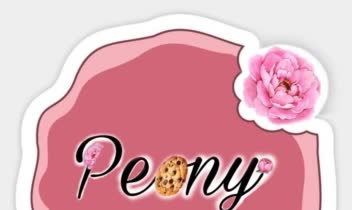 طراحی لوگو برای پیچ کوکی اینستاگرام برای ارائه خدمات انلاین و حضوری