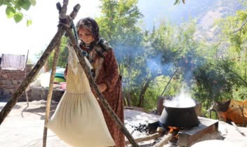 لوگوی امضای عکاس روی پروژه های عکاسی