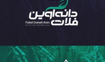 طراحی لوگو دانه آوین فلات ترکیبی