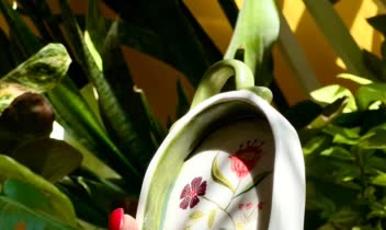 نمونه کار سرامیک دستی و همچنین عکاسی