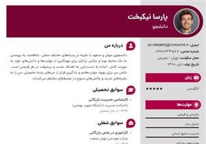 نمونه طراحی رزومه برای شرکت و کارجویان
