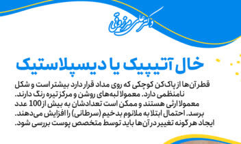 تولید محتوا و طراحی برای پیج دکتر علی مرزوقی