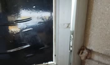 این یک دستگاه طیف سنج قابل حمل است.