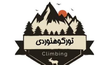 نمونه طراحی لوگو ساده و حرفه ای