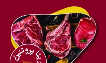 طراحی لوگو و تراکت فروشگاه پروتئینی درینا