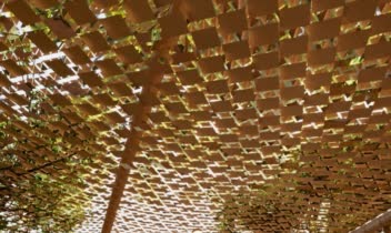طراحی کافه جنگلی با سبک ارگانیک