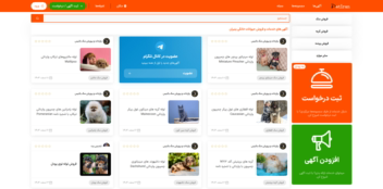طراحی فرانت‌اند سامانه مشاغل حیوانات خانگی