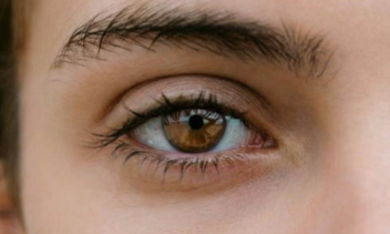 نمونه قابل اجرا ( روتوش عکس حرفه ای )