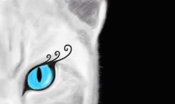 __________ تصویر سازی __________
