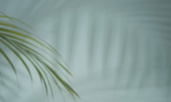 عکاسی تبلیغاتی از نوشیدنی Efes