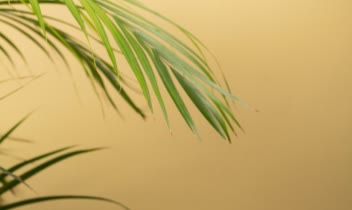 عکاسی تبلیغاتی از نوشیدنی Efes