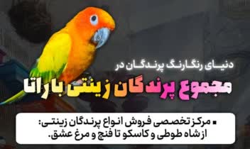 نمونه بنر تبلیغاتی مناسب همه مشاغل