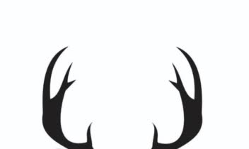 لوگو/ست اداری/طراحی و بسته بندی