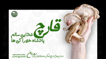 طراحی بیلبورد و بنر تبلیغاتی برای محصول قارچ