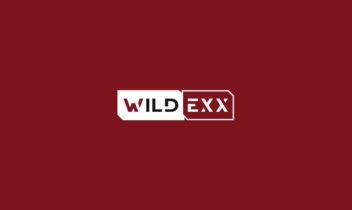 طراحی هویت بصری برند ابزارآلات WILDEXX