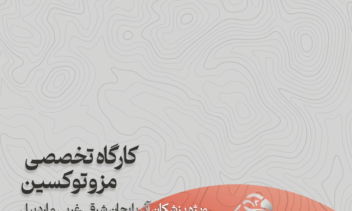 طراحی کاور و استوری و پروداکت های تبلیغات دیجیتال