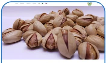 طراحی سایت 3 زبانه و تولید محتوا