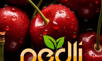 پروژه برندینگ آب میوه های طبیعی پدلی