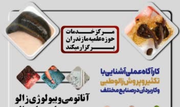 طراحی تراکت تبلیغاتی کلاس زالودرمانی