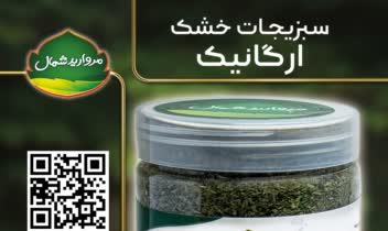 طراحی لوگو و بروشور و لت های تبلیغاتی