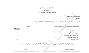 صورتهای مالی شرکت نمونه / گزارشات مالی