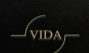 طراحی لوگوی اکسسوری برند VIDA به شکل ترکیب دو دست
