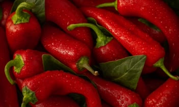 عکاسی صنعتی و تبلیغاتی و هنری و مدلینگ