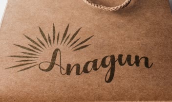 طراحی لوگو برای آنلاین شاپ (anagun).