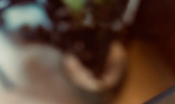 عکاسی منو کافه برای پیج اینستاگرام