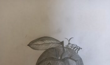 نقاشی با قلم سیاه به طور حرفه ای