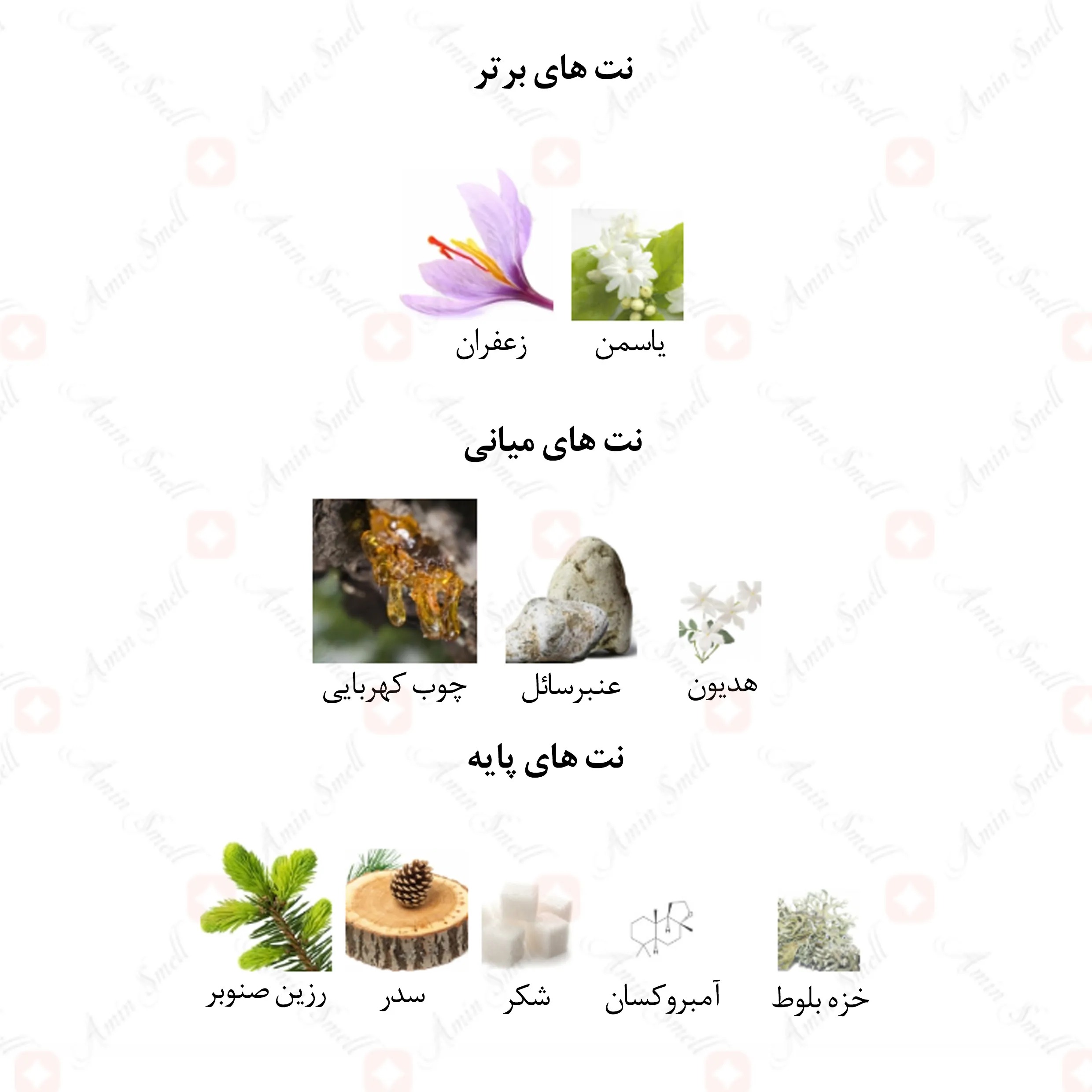 ادیت عکس ادکلن برای سایت امین اسمل