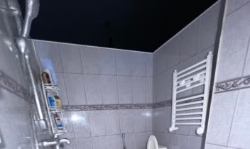 ماکت داخلی از نمونه واقعی با مقیاس دقیق