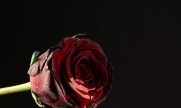 عکاسی تبلیغاتی و خلاقانه  از لوازم آرایش