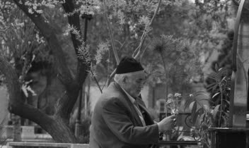 عکاسی پرتره ،مدلینگ ،تبلیغاتی ، کودک و خبری
