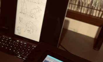 اثر « روباه پرنده» ـ مجموعه آثار نمایشگاه عجیب المخلوقات قزوینی