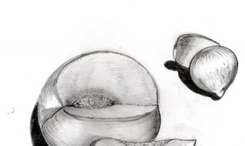 چند نمونه از طراحی سیاه قلم سطح پیشرفته 🌟🌟🌟