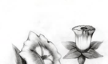 چند نمونه از طراحی سیاه قلم سطح پیشرفته 🌟🌟🌟