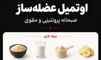 طراحی اینفوگرافی روش درست کردن میان وعده های رژیمی