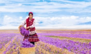 عکاسی صنعتی تبلیغاتی زعفران بام