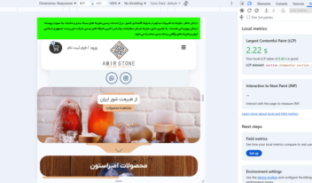 بهینه سازی و افزایش سرعت سایت وردپرس