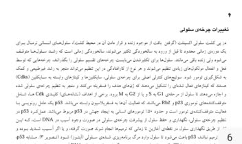 ترجمه متون ادبی و علمی به صورت تخصصی و دقیق
