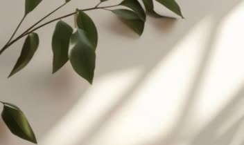 اصلاح نور،ویرایش تصویر،افزودن بگراند